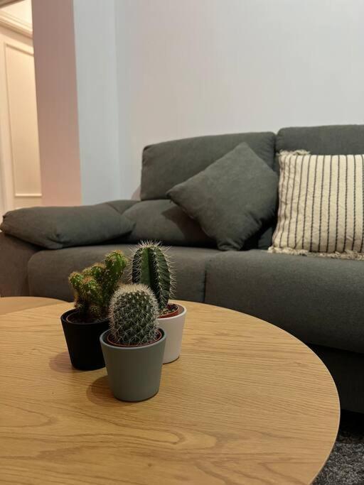 Top Duplex Centro "La Plazuela" Jerez de la Frontera Dış mekan fotoğraf